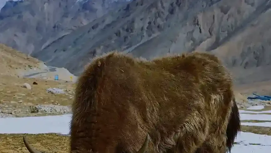 Khardung La Pass