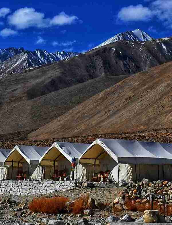 camping-ladakh-adventure